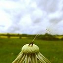 Fotoquelle: www.photocase.at/de Fotografin: cydonna