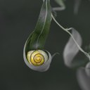 Bildquelle: www.photocase.de/userSlavia77