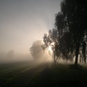 Wo viel Dunkelheit ist, ist auch Licht.